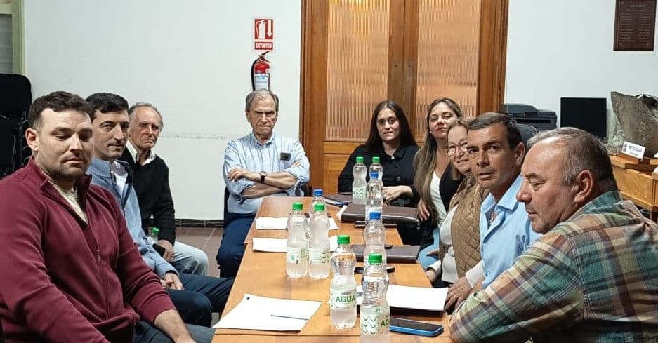 Comisión de Asuntos Internos