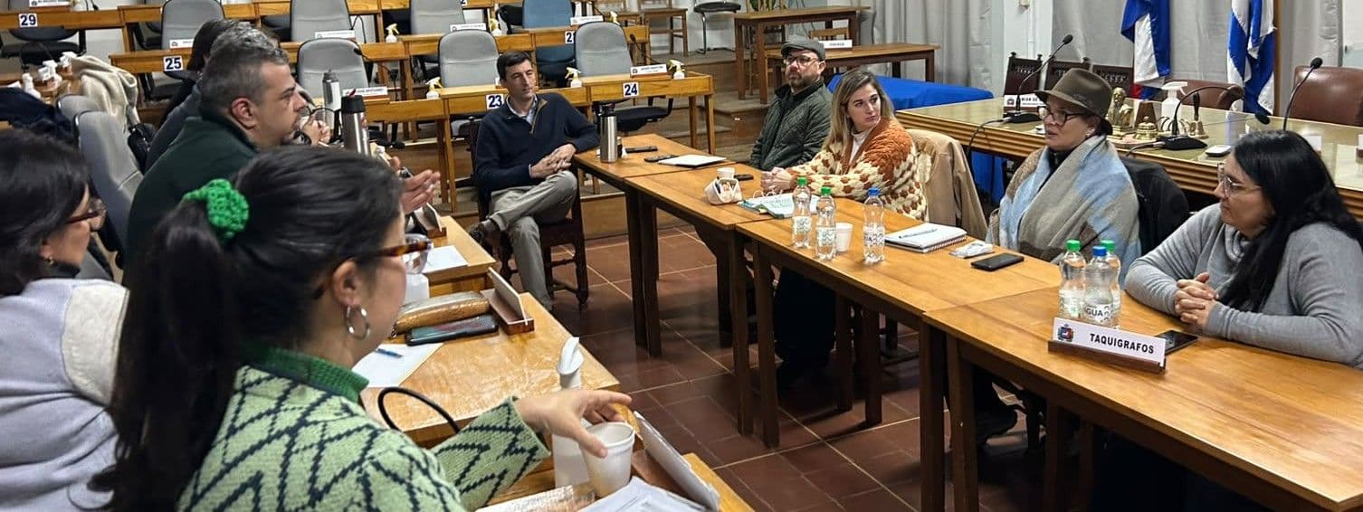 Comisión de Turismo y Asuntos Regionales