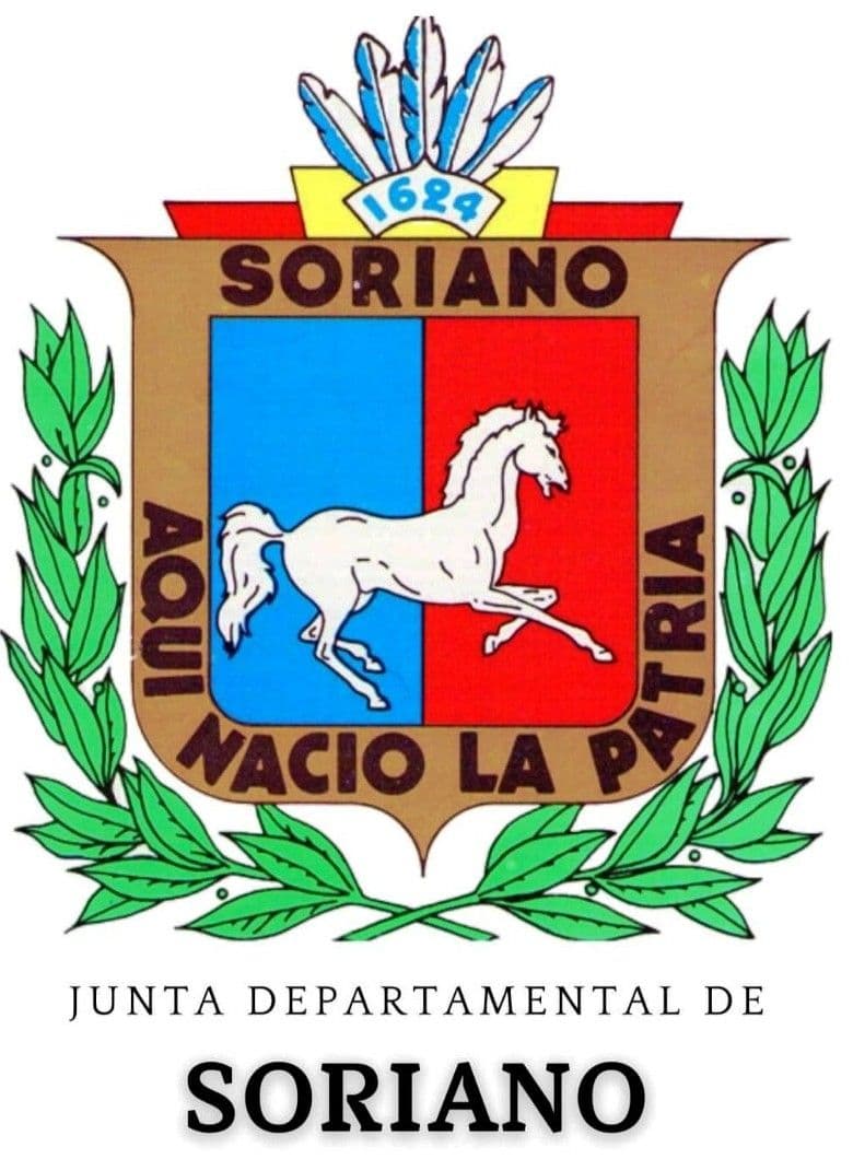 Comisión de Asuntos Internos